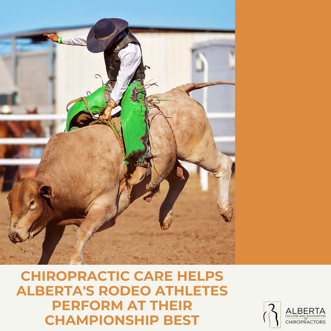 Chiropractic care helps Alberta’s rodeo athletes preform at their championship best